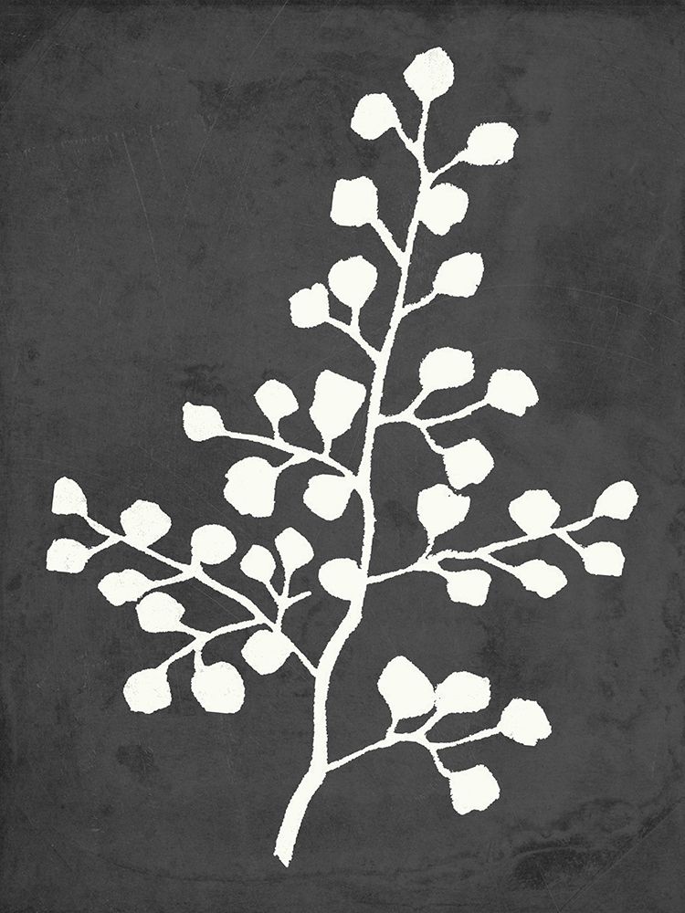 Fern Silhouette II art print by Anna Quach for $57.95 CAD