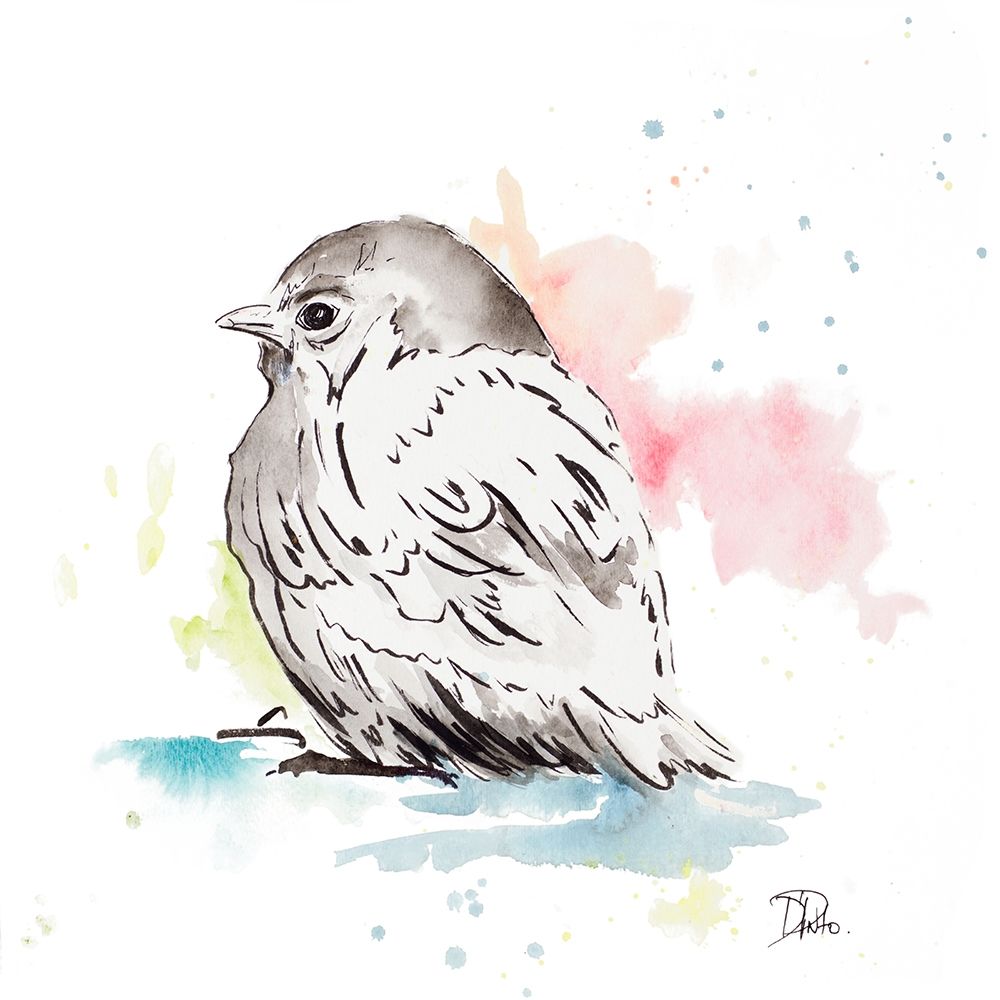 Bird Sketch I art print by Patricia Pinto for $57.95 CAD