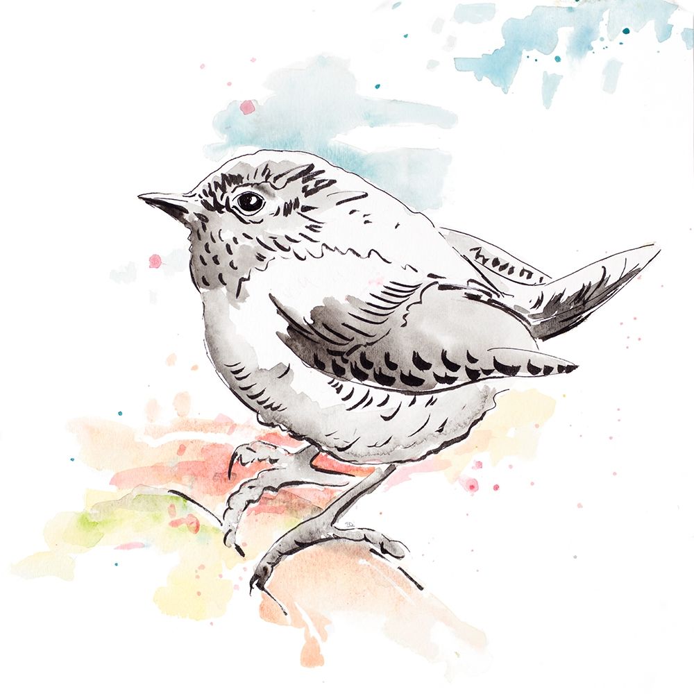 Bird Sketch II art print by Patricia Pinto for $57.95 CAD