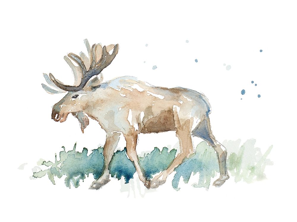 Watercolor Moose art print by Lanie Loreth for $57.95 CAD