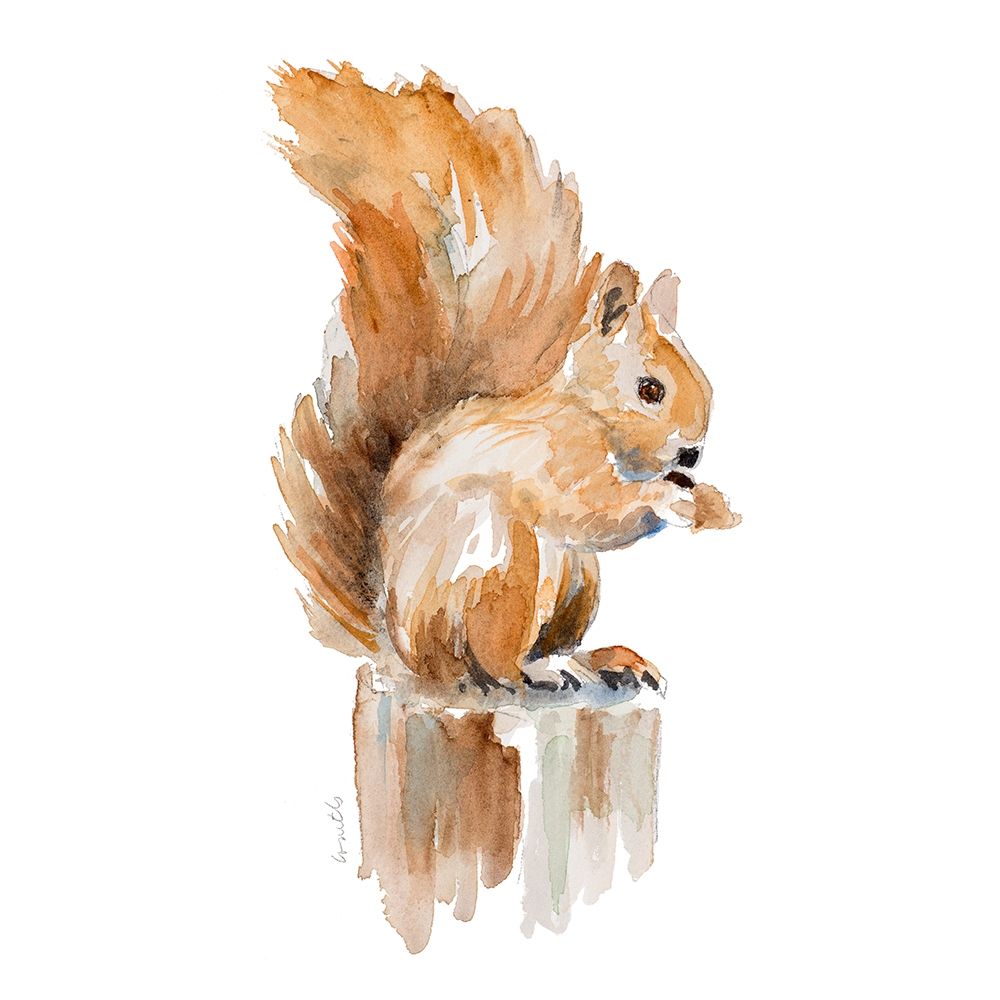 Watercolor Squirrel art print by Lanie Loreth for $57.95 CAD
