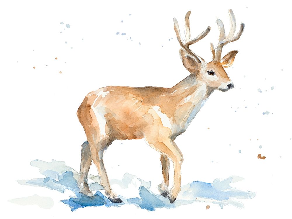 Watercolor Deer art print by Lanie Loreth for $57.95 CAD