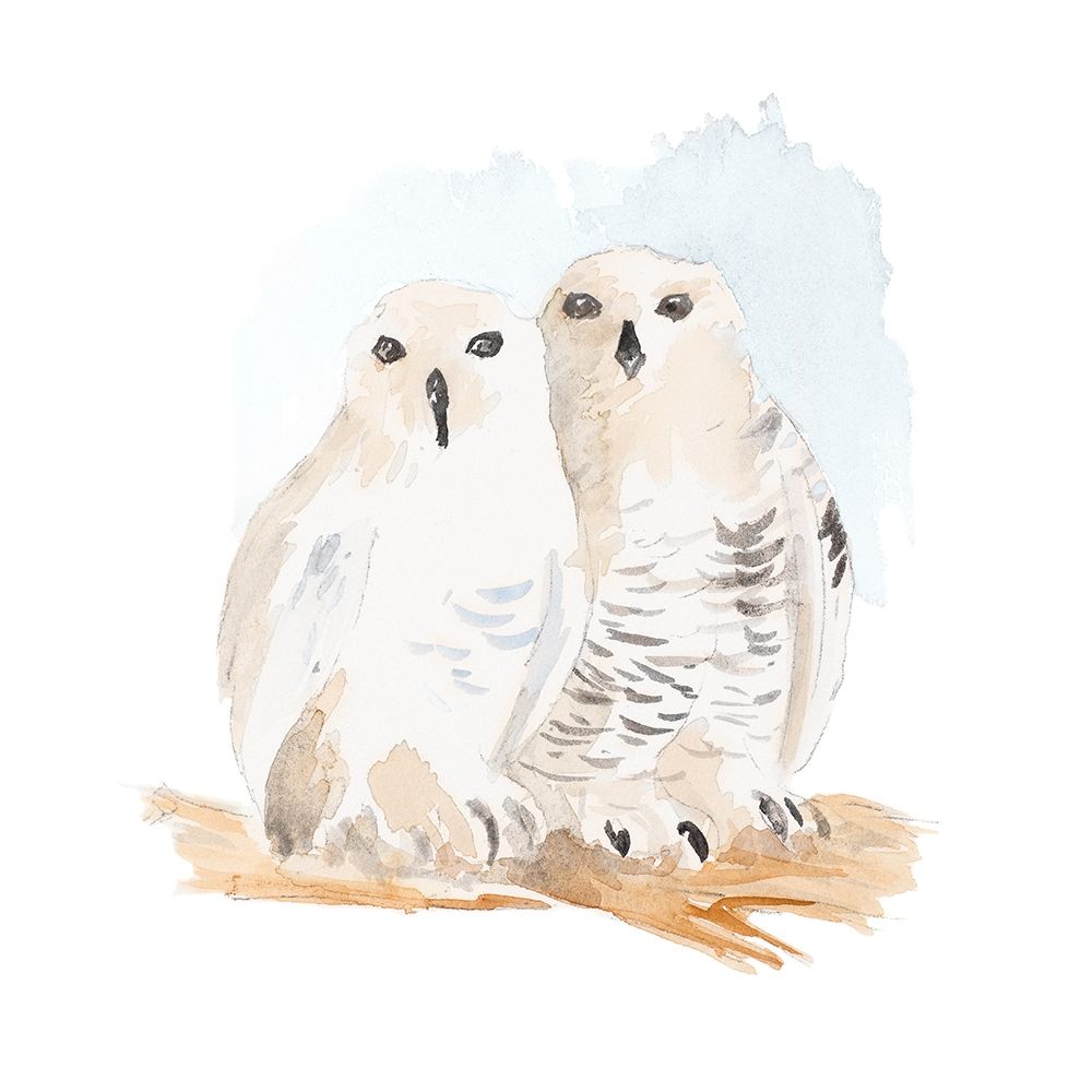 Watercolor Snowy Owls art print by Lanie Loreth for $57.95 CAD
