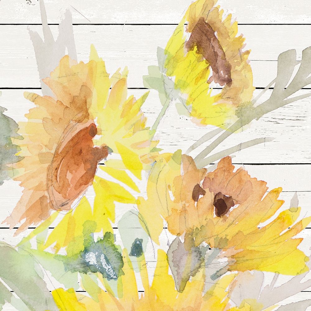 Blooming Sunflower Square III art print by Lanie Loreth for $57.95 CAD