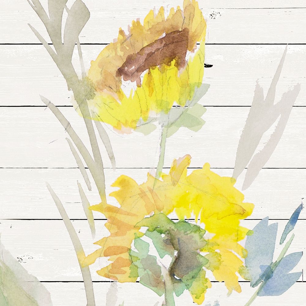 Blooming Sunflower Square I art print by Lanie Loreth for $57.95 CAD