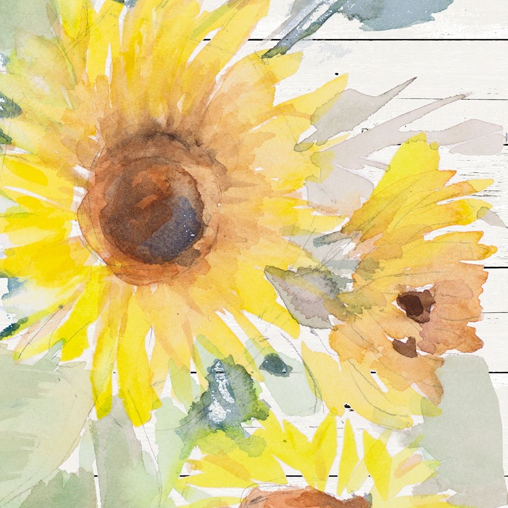 Blooming Sunflower Square V art print by Lanie Loreth for $57.95 CAD