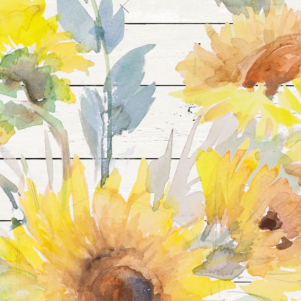 Blooming Sunflower Square IV art print by Lanie Loreth for $57.95 CAD