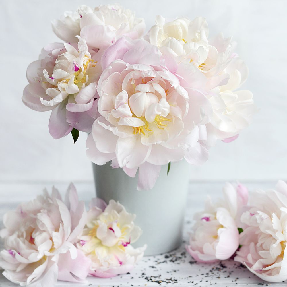 White Blooms art print by Sarah Gardner for $57.95 CAD