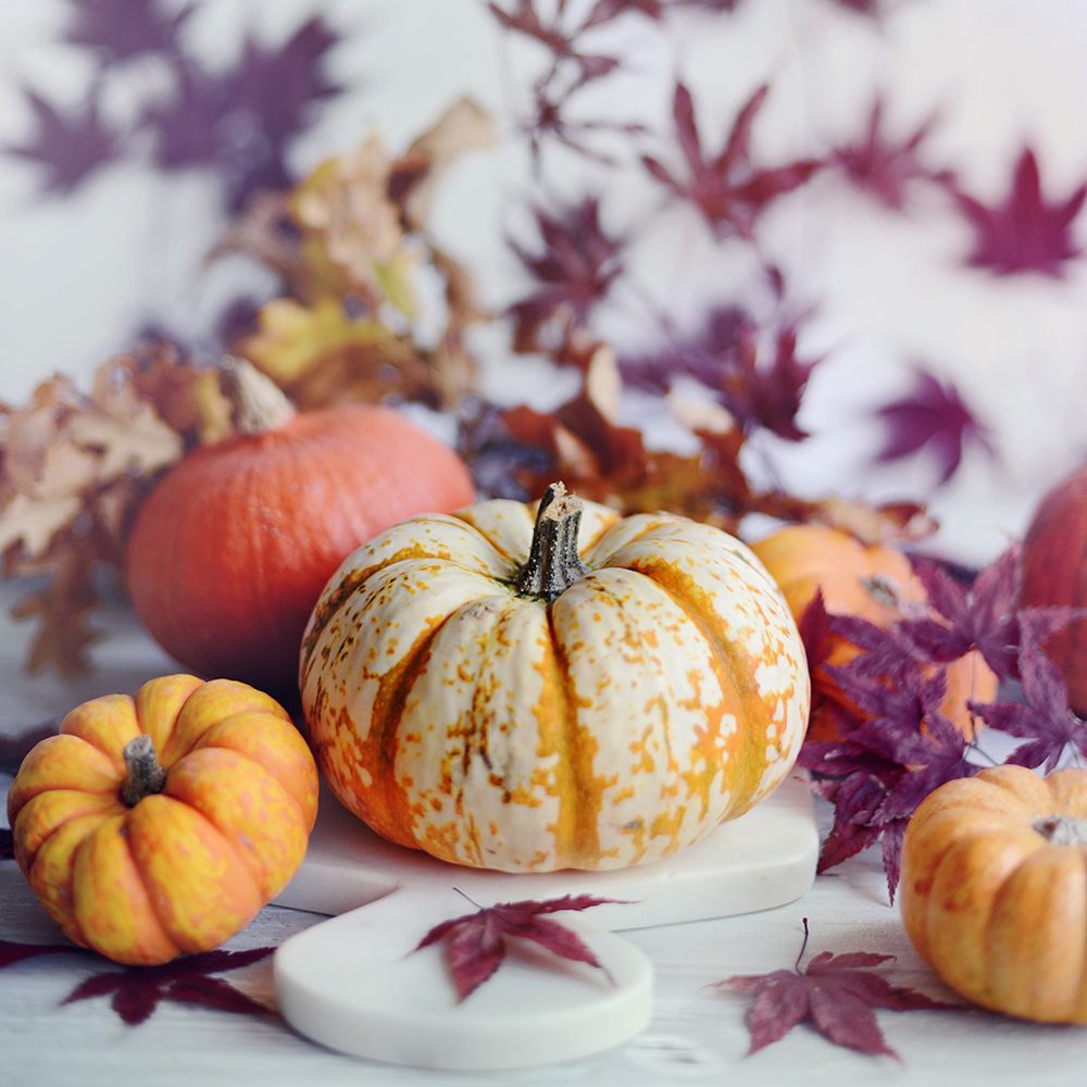 A Bright Harvest I art print by Sarah Gardner for $57.95 CAD