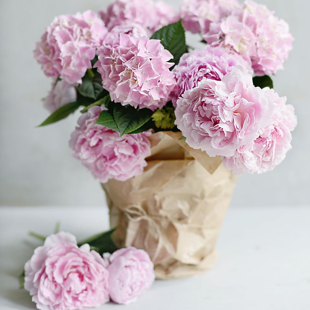 Pink Blooms art print by Sarah Gardner for $57.95 CAD
