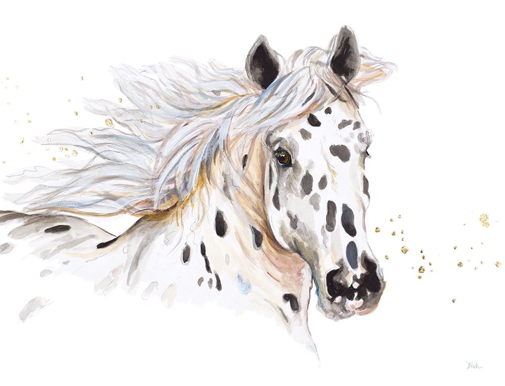 Appaloosa art print by Patricia Pinto for $57.95 CAD