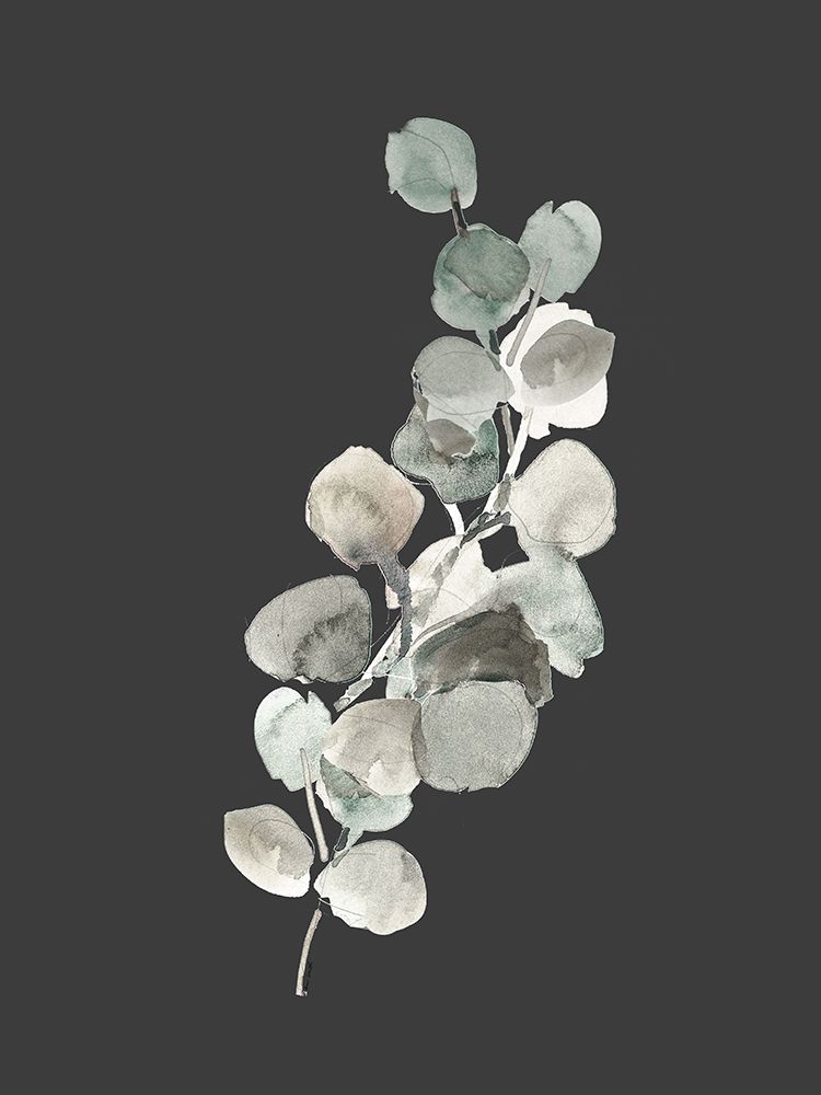 Eucalyptus Branch On Charcoal I art print by Lanie Loreth for $57.95 CAD