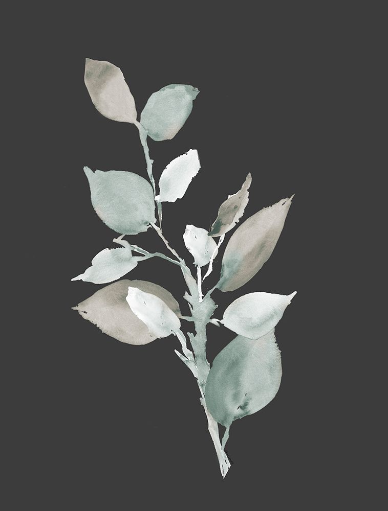 Eucalyptus Branch On Charcoal II art print by Lanie Loreth for $57.95 CAD