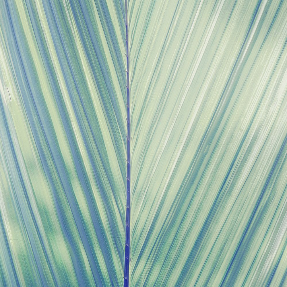 Vintage Palm Leaf I art print by Kathy Mansfield for $57.95 CAD