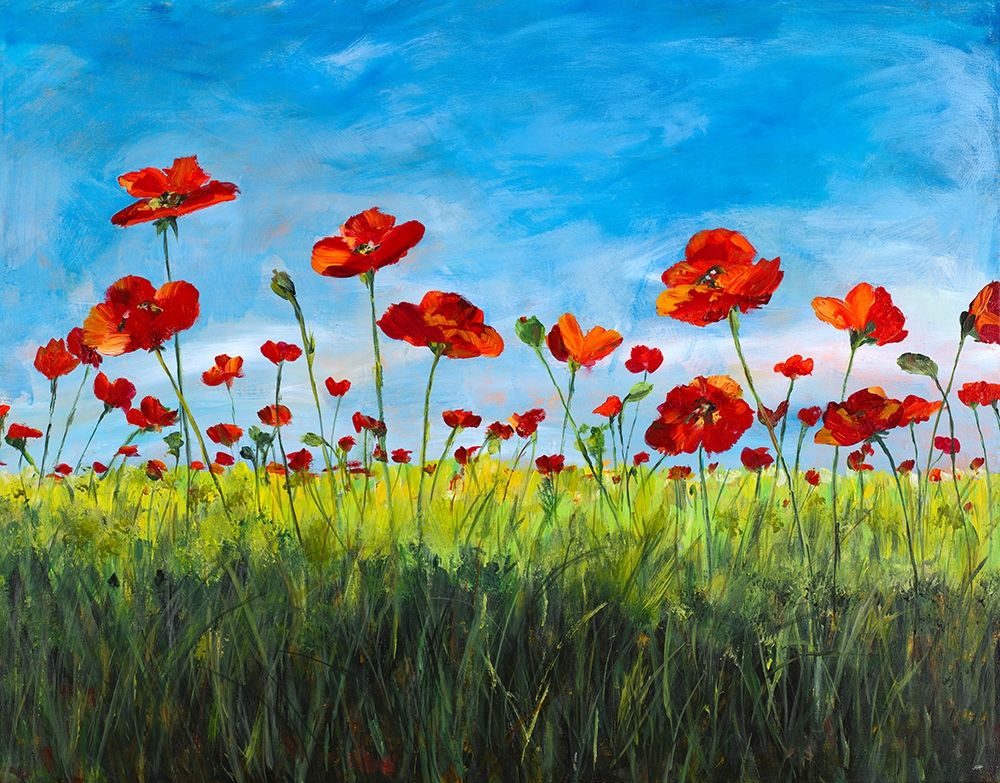 Wild Poppies art print by Julie DeRice for $57.95 CAD