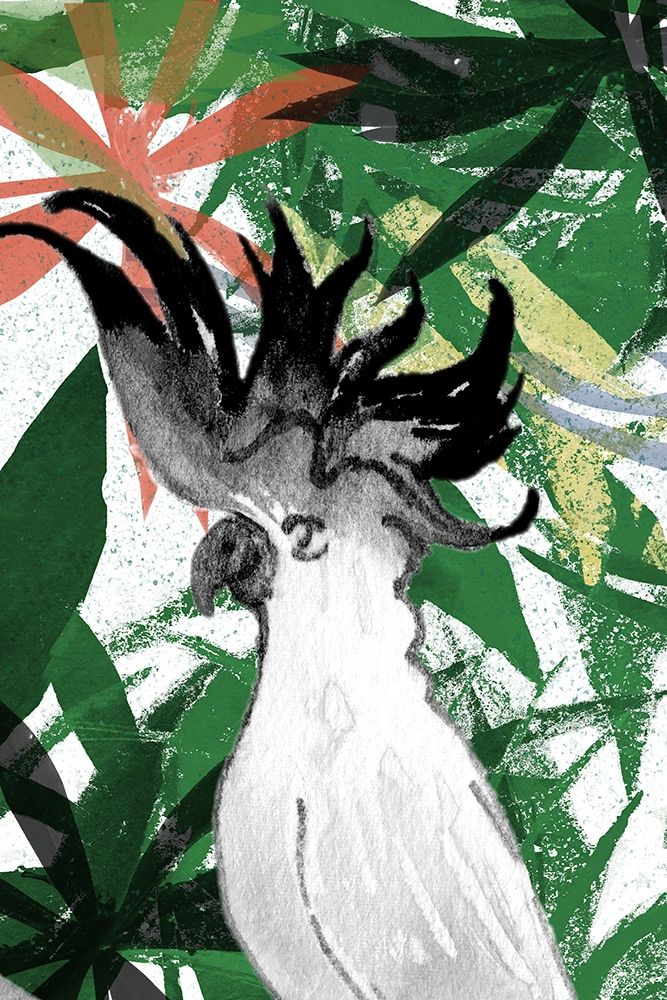 Hidden Cockatoo art print by Elizabeth Medley for $57.95 CAD
