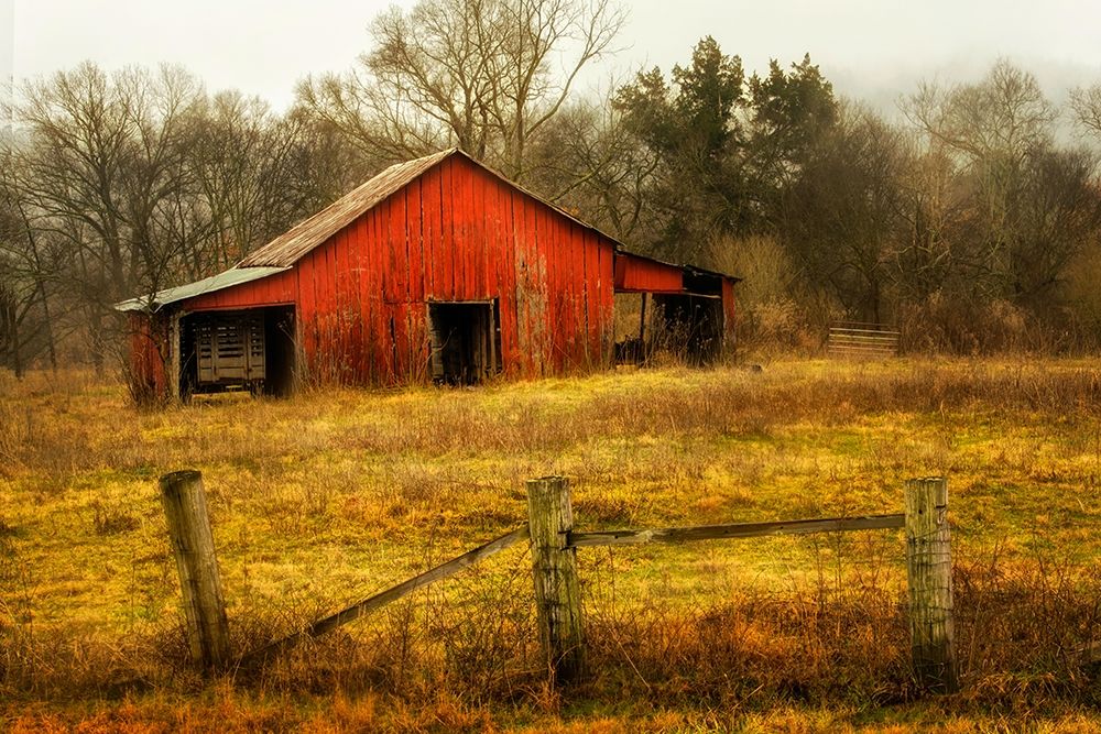 In the Country art print by Andy Amos for $57.95 CAD