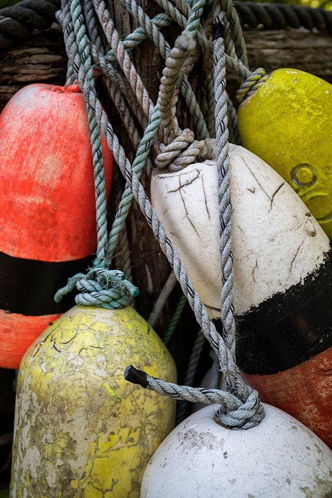 Boat Bumpers I art print by Andy Amos for $57.95 CAD