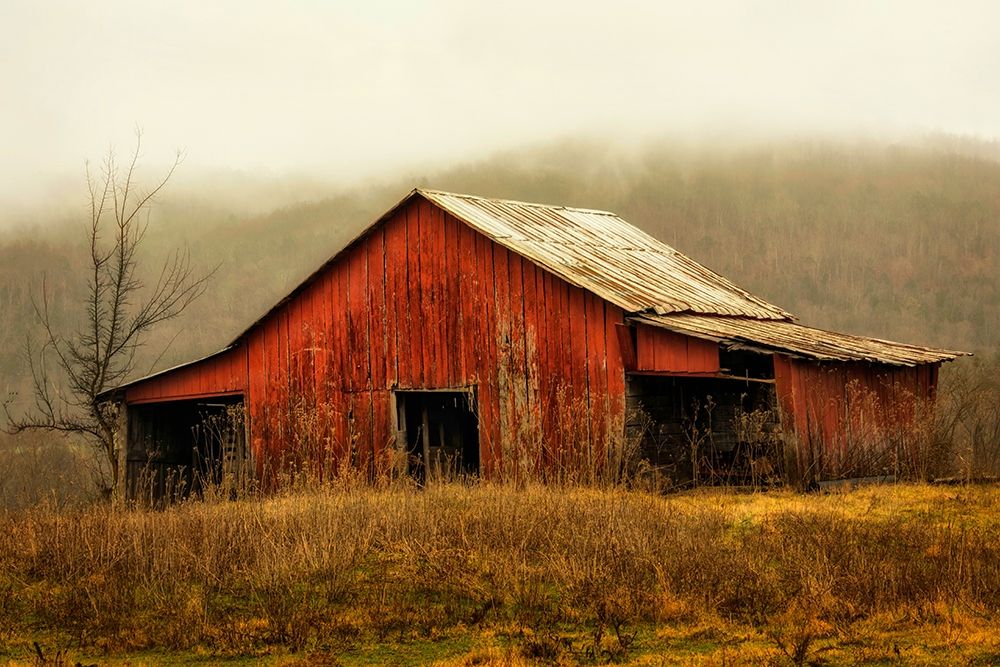 Skylight Barn in the Fog art print by Andy Amos for $57.95 CAD