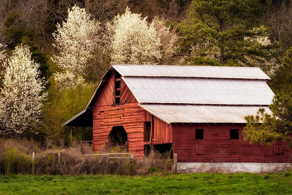 Skylight Red Barn art print by Andy Amos for $57.95 CAD