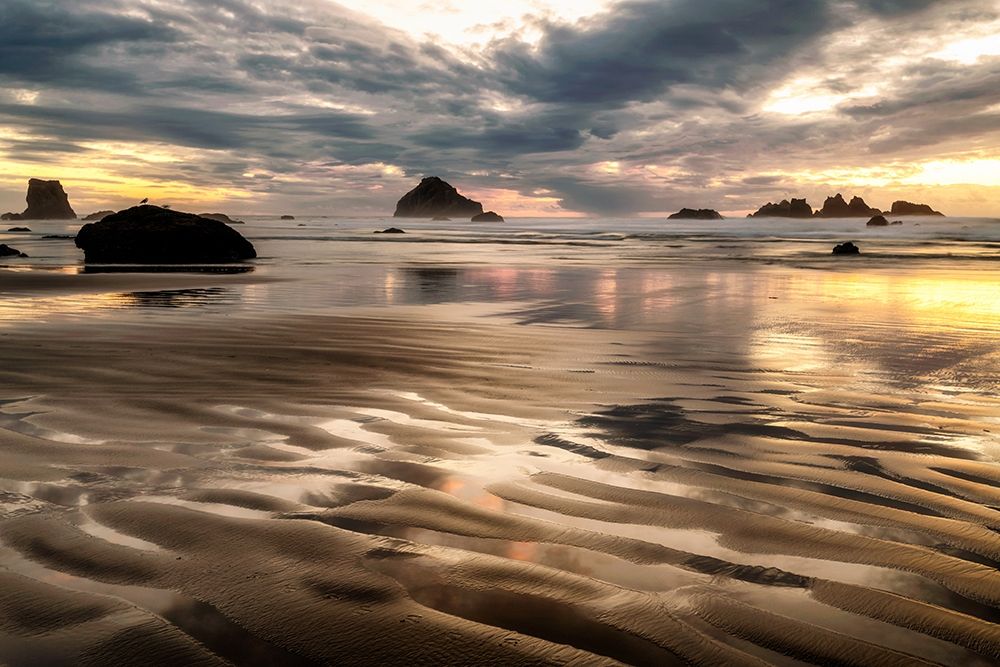 Pacific Low Tide art print by Andy Amos for $57.95 CAD