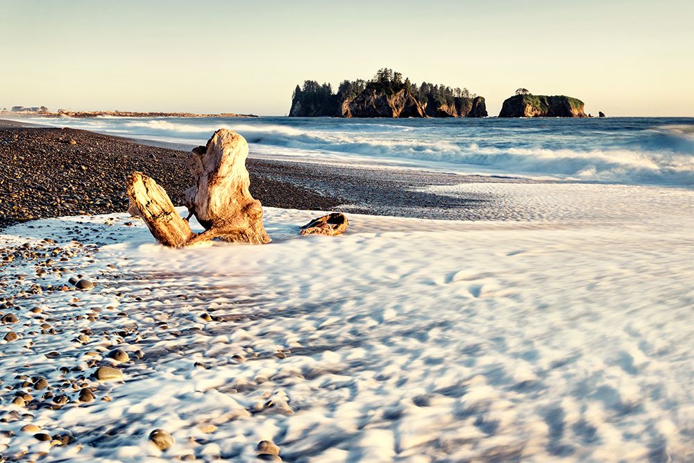 Washed on Shore art print by Andy Amos for $57.95 CAD