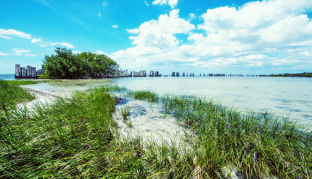 Tropical Coastline art print by Bill Carson Photography for $57.95 CAD