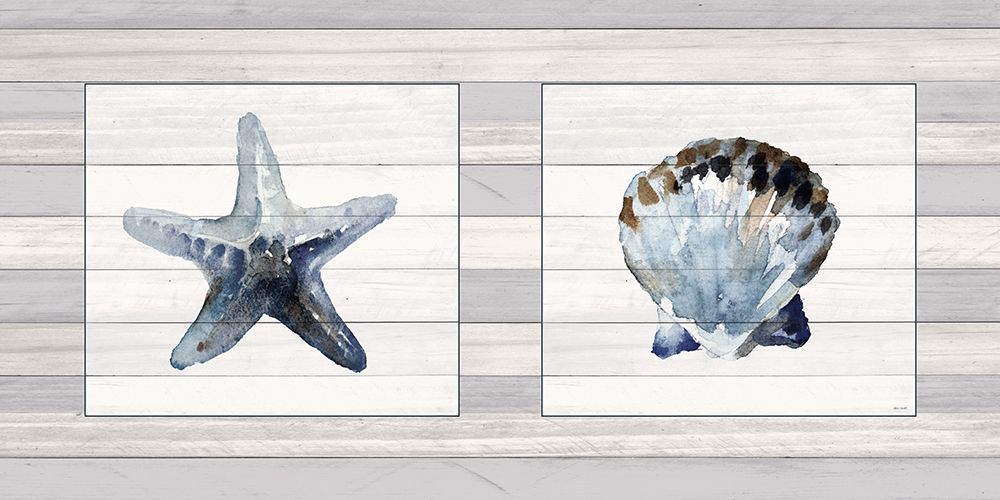 Starfish And Shell Duo art print by Lanie Loreth for $57.95 CAD