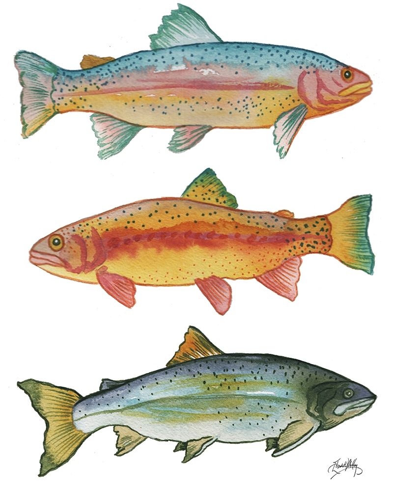 Lake Fishing art print by Elizabeth Medley for $57.95 CAD