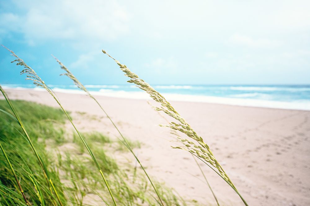 Windy Shores art print by Bill Carson Photography for $57.95 CAD