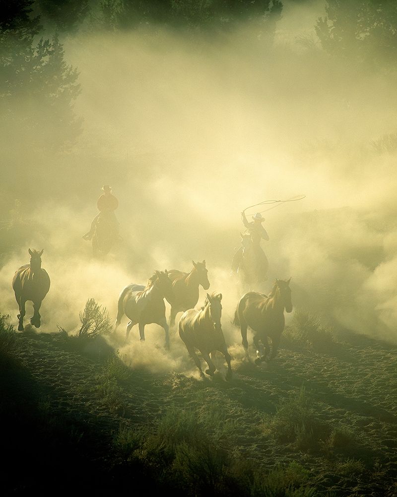 Stampede art print by Jimmyz for $57.95 CAD