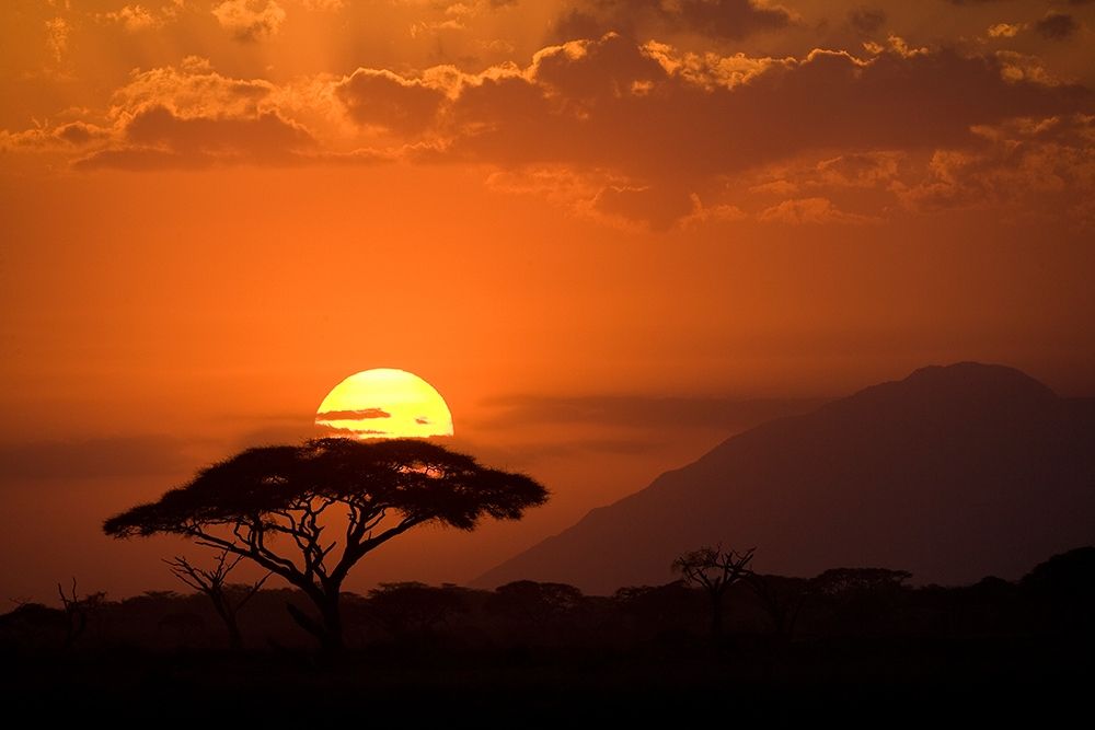 African Sunset I art print by Jimmyz for $57.95 CAD