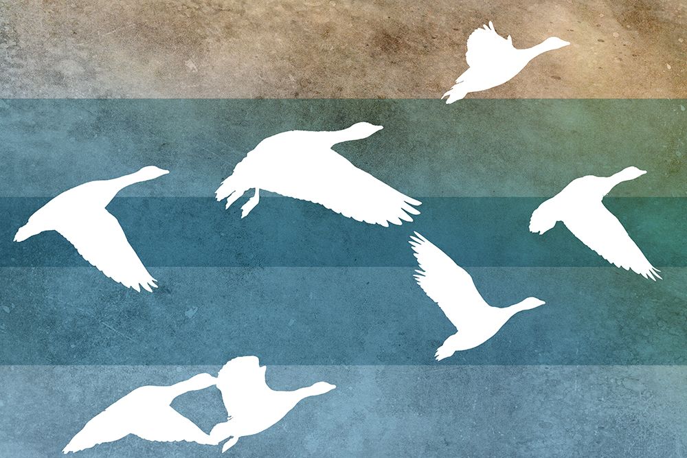 Flying Ducks II art print by Dan Meneely for $57.95 CAD