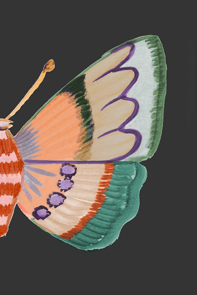 Boho Butterfly on Black II art print by Ani Del Sol for $57.95 CAD