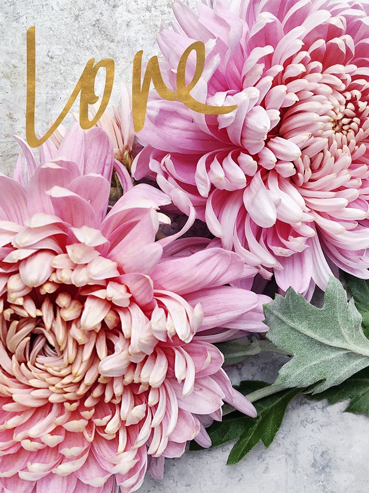 Love art print by Sarah Gardner for $57.95 CAD