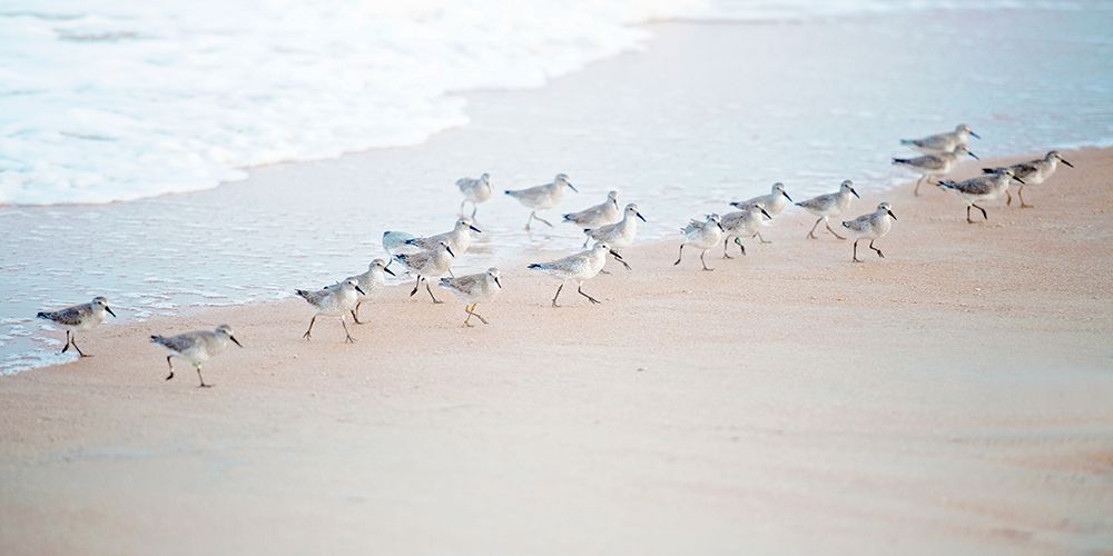 Coastal March art print by Bruce Nawrocke for $57.95 CAD