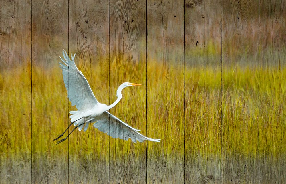 Golden Hour art print by Kathy Mansfield for $57.95 CAD