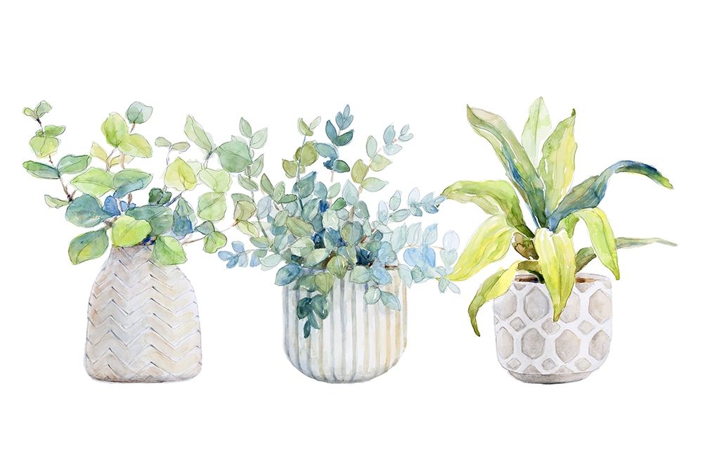 Decorative Plant Trio I art print by Lanie Loreth for $57.95 CAD