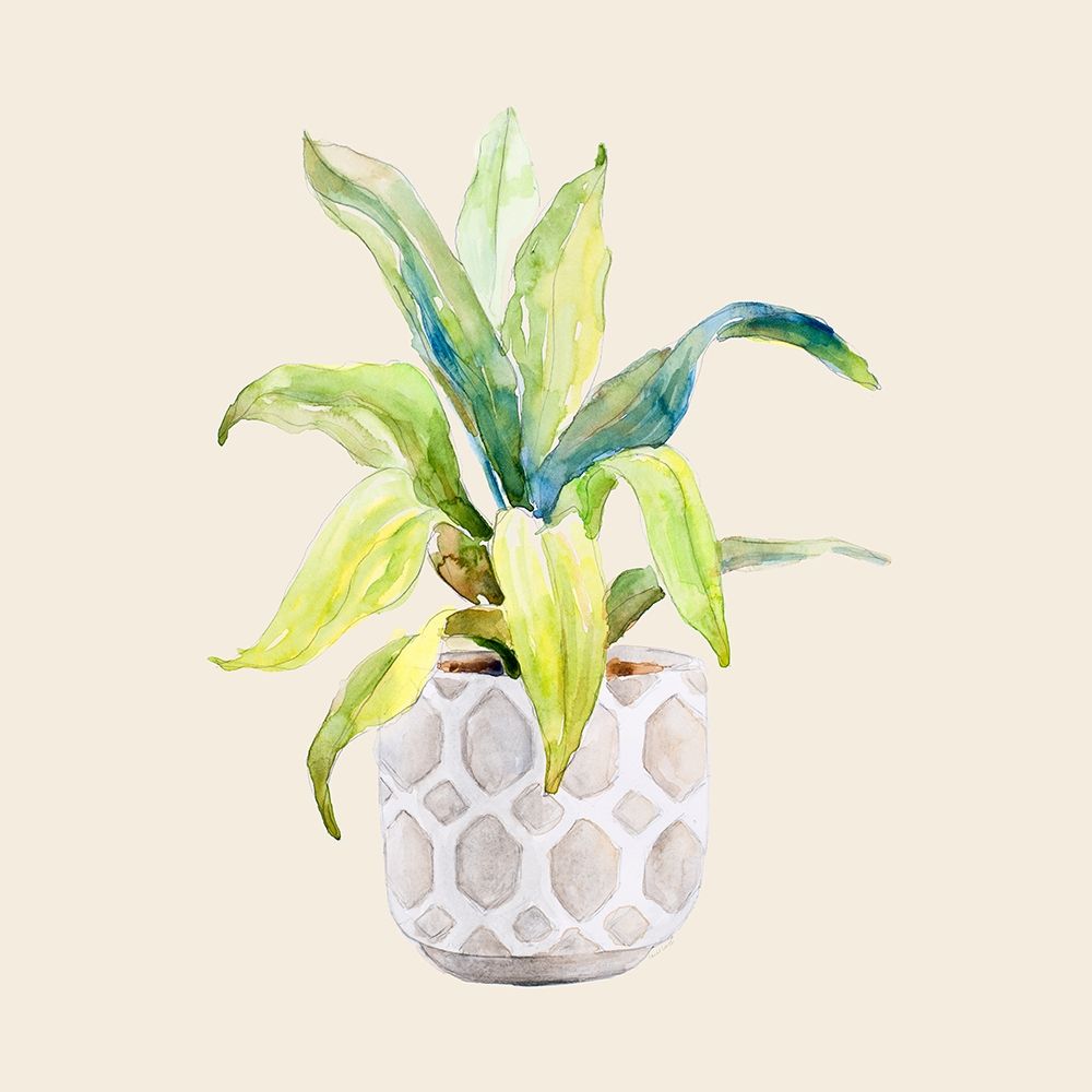 Decorative Potted Plant I art print by Lanie Loreth for $57.95 CAD