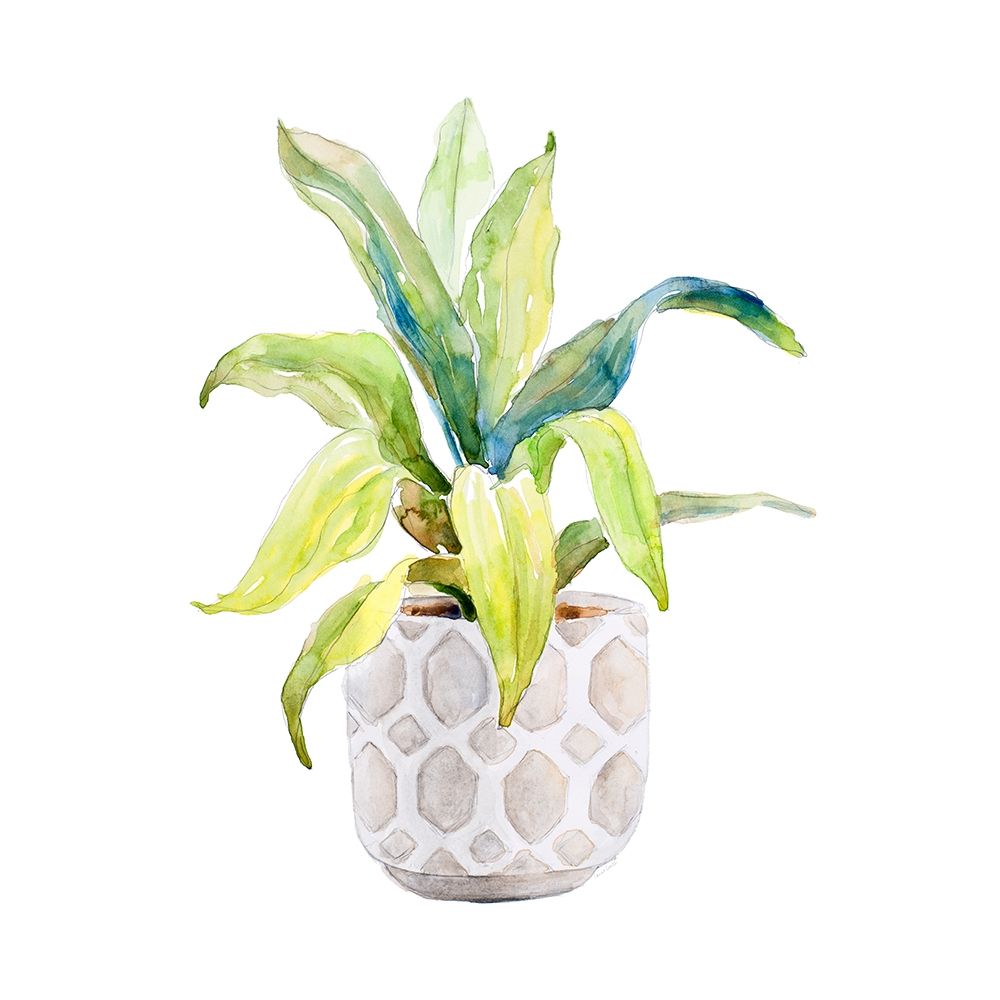 Plant in Decorative Pot I art print by Lanie Loreth for $57.95 CAD