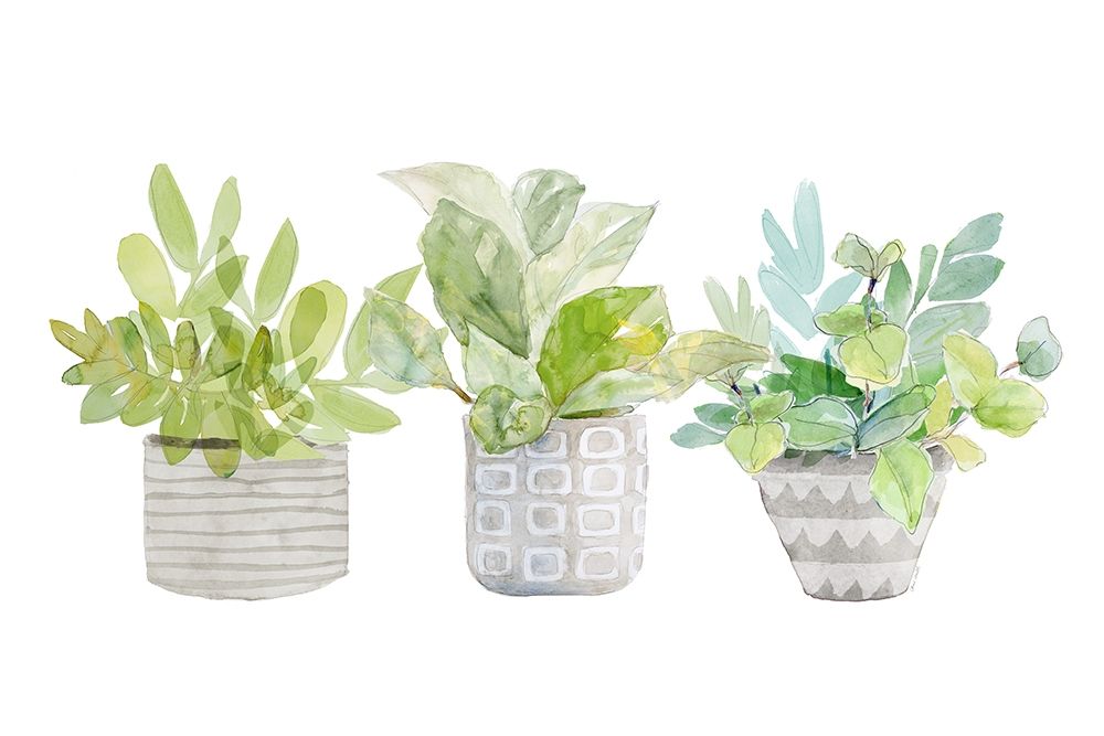 Decorative Plant Trio II art print by Lanie Loreth for $57.95 CAD