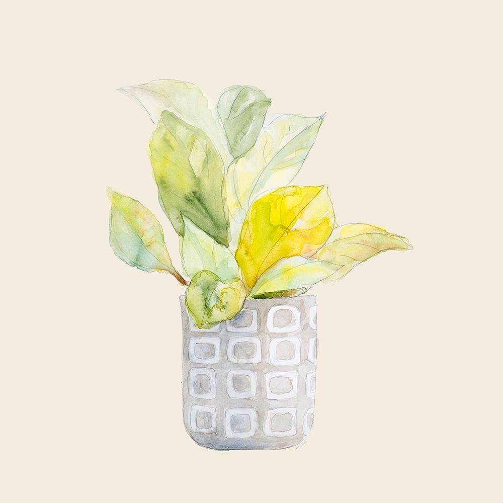 Decorative Potted Plant II art print by Lanie Loreth for $57.95 CAD