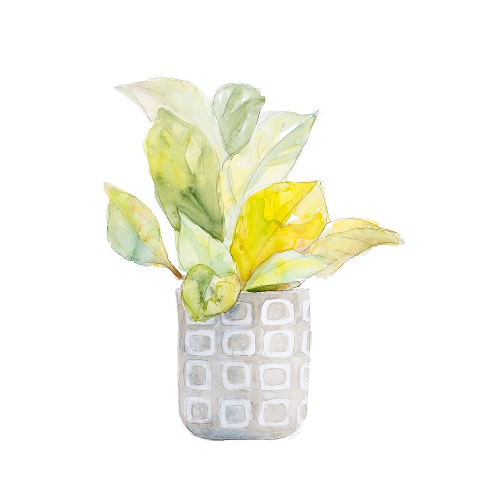 Plant in Decorative Pot II art print by Lanie Loreth for $57.95 CAD