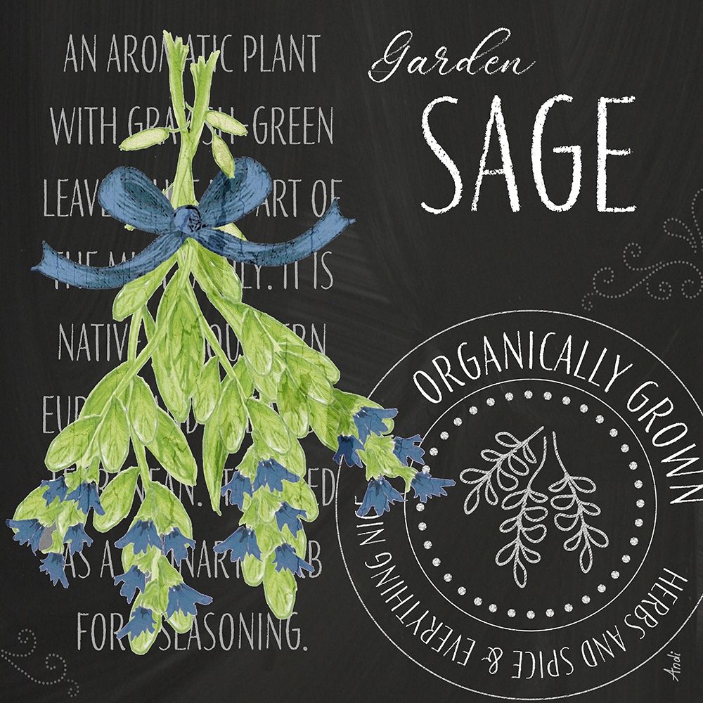 Garden Grown Herbs II art print by Andi Metz for $57.95 CAD