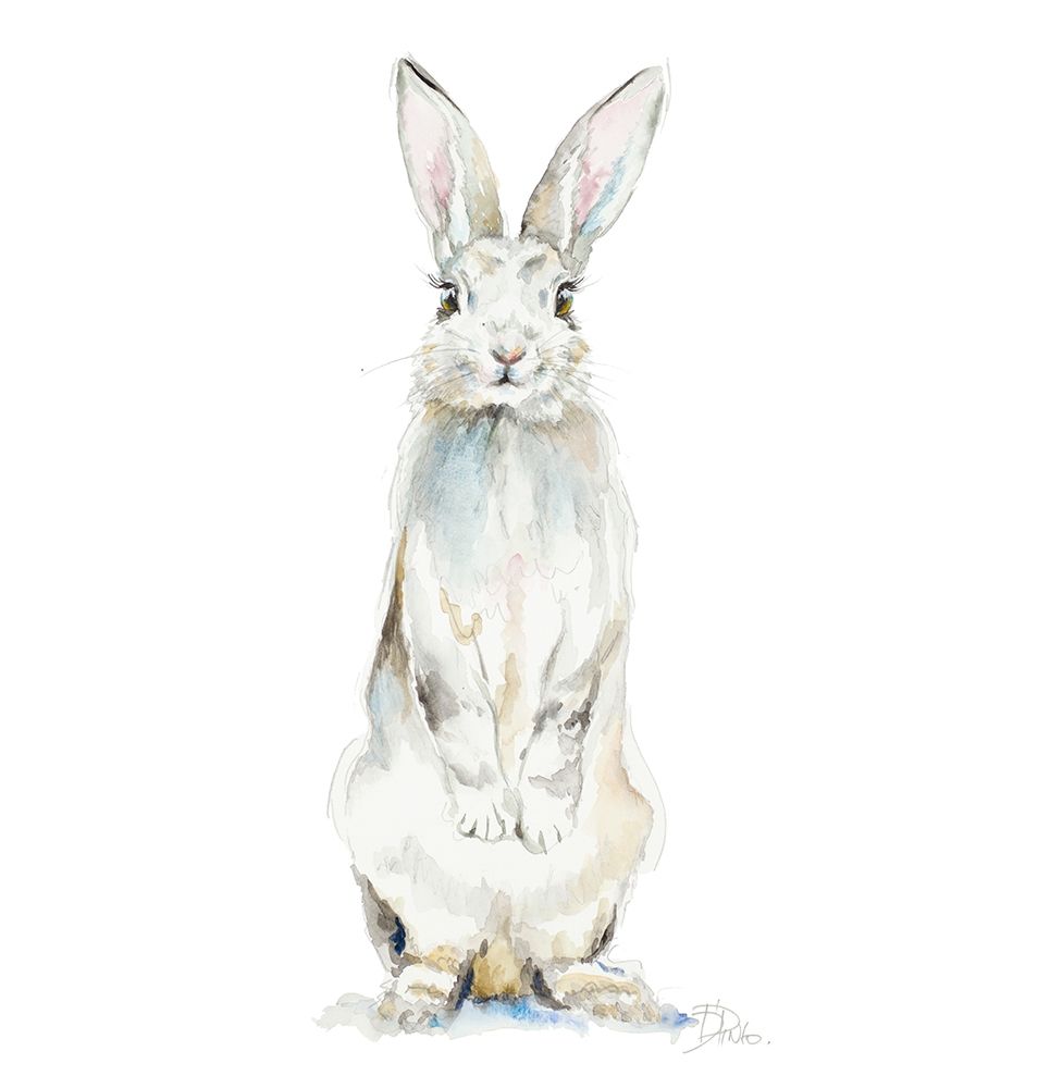 Cute Rabbit art print by Patricia Pinto for $57.95 CAD