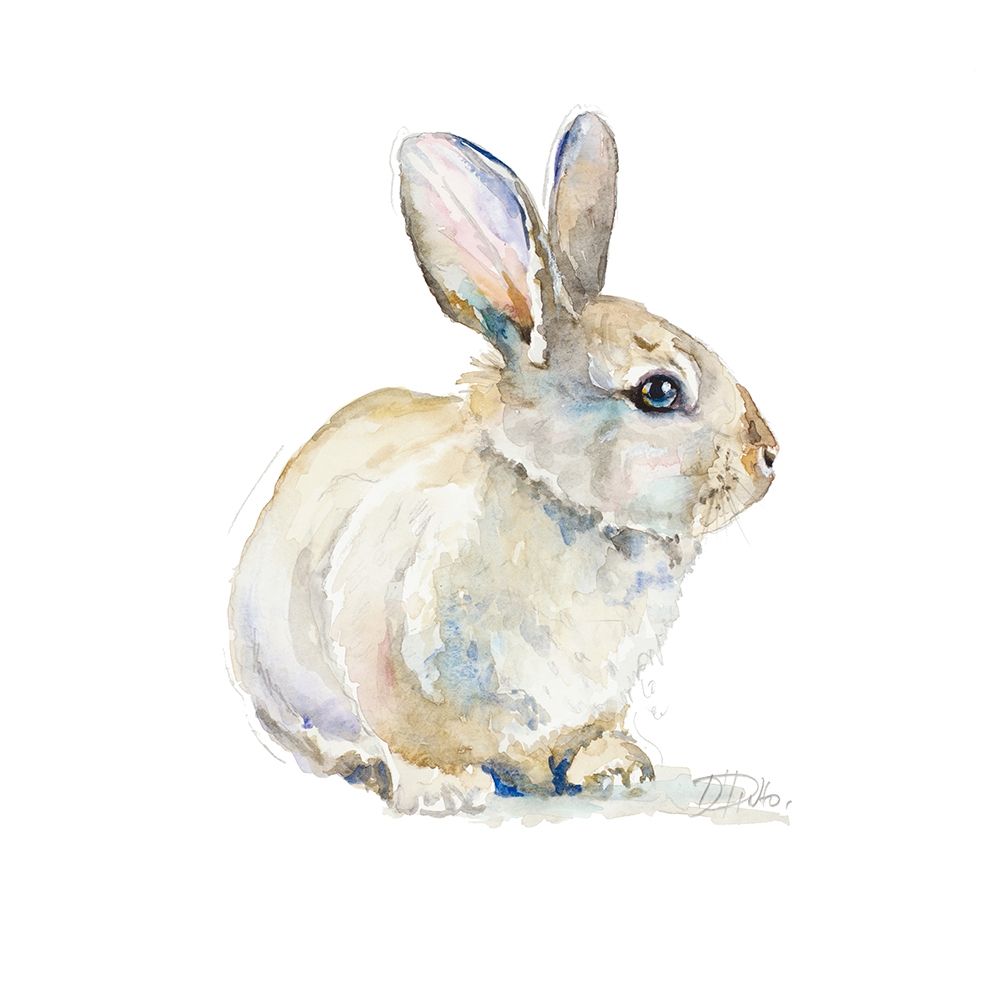 Baby Rabbit art print by Patricia Pinto for $57.95 CAD