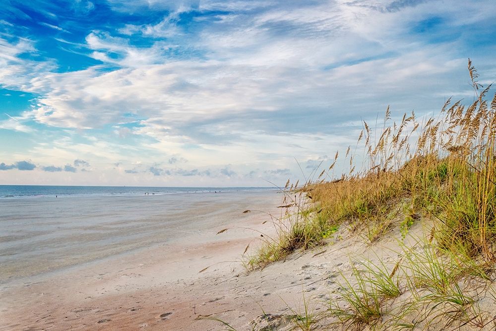 Afternoon Breeze art print by Andy Amos for $57.95 CAD