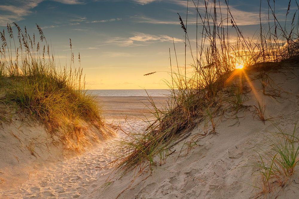 Coastal Dunes art print by Andy Amos for $57.95 CAD