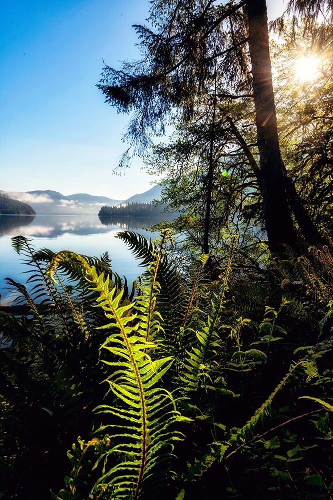 Lake Side View art print by Andy Amos for $57.95 CAD