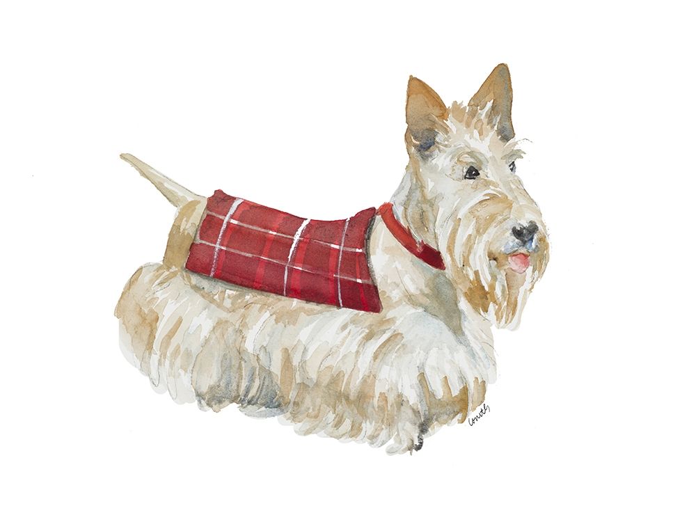 Wheaten Scotty art print by Lanie Loreth for $57.95 CAD